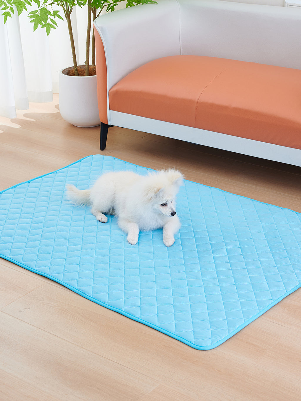 Dog resting on the padded waterproof cooling mat