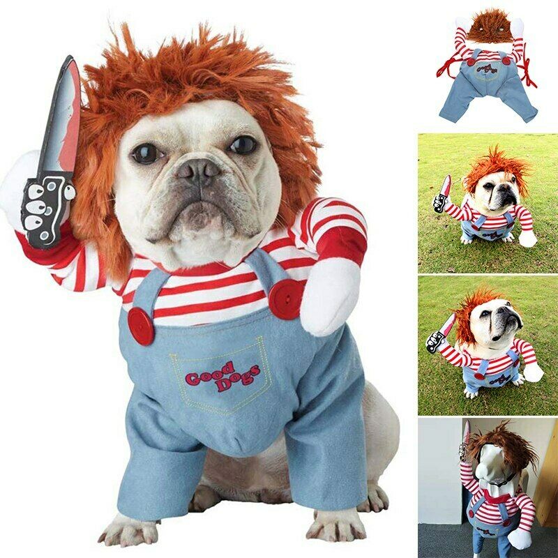 MATERA PET funny Halloween dog costume – Horseman rider illusion on a dog