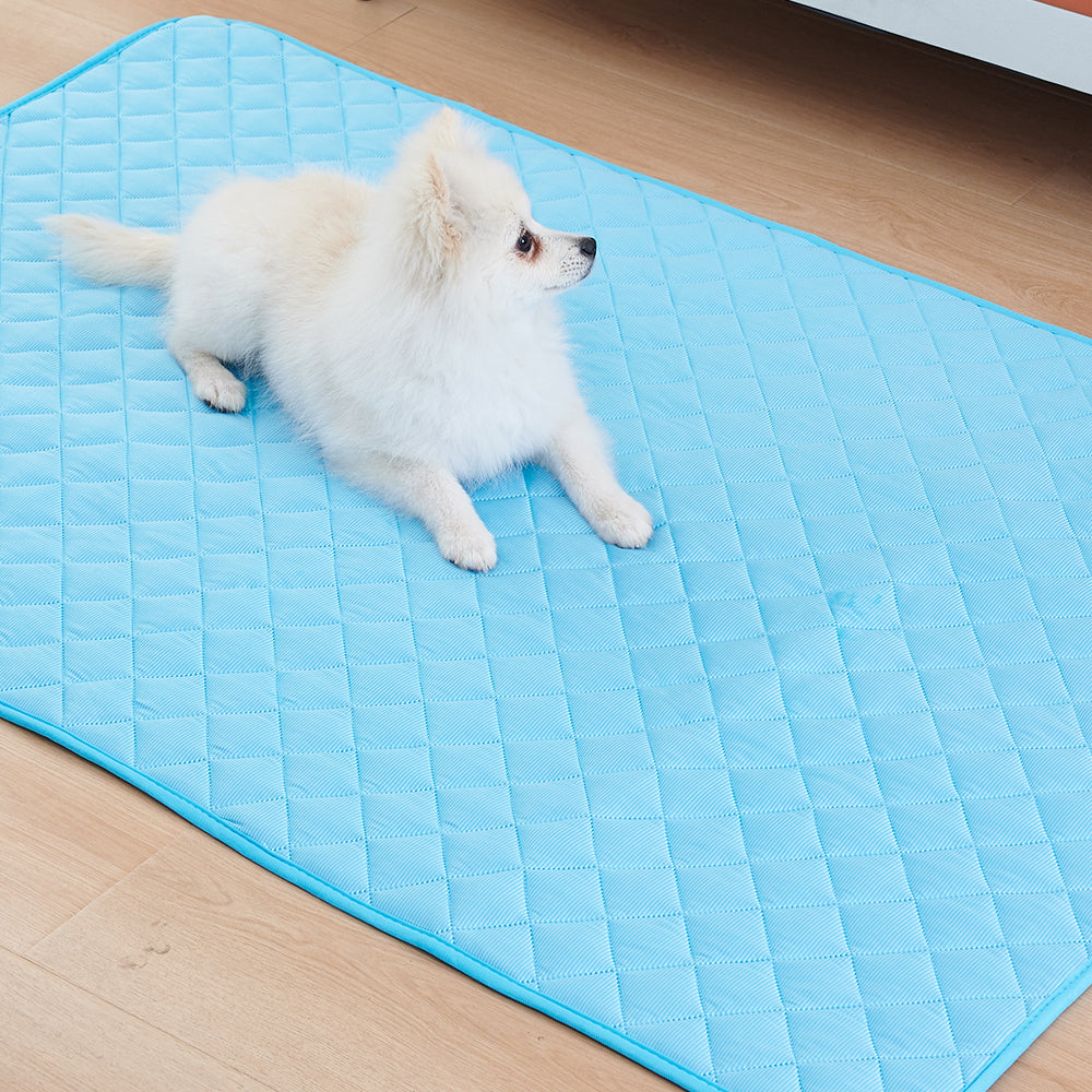 Cooling mat placed in the boot of a car