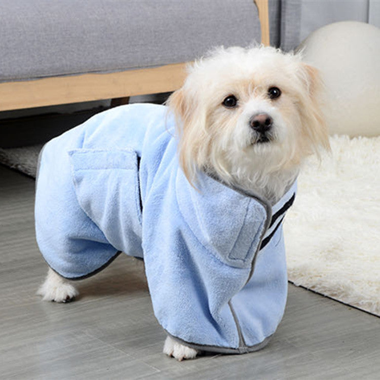 Dog in the blue absorbent bathrobe standing on a wooden floor after a bath