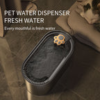 MATERA PET pet water fountain – Ore White color option