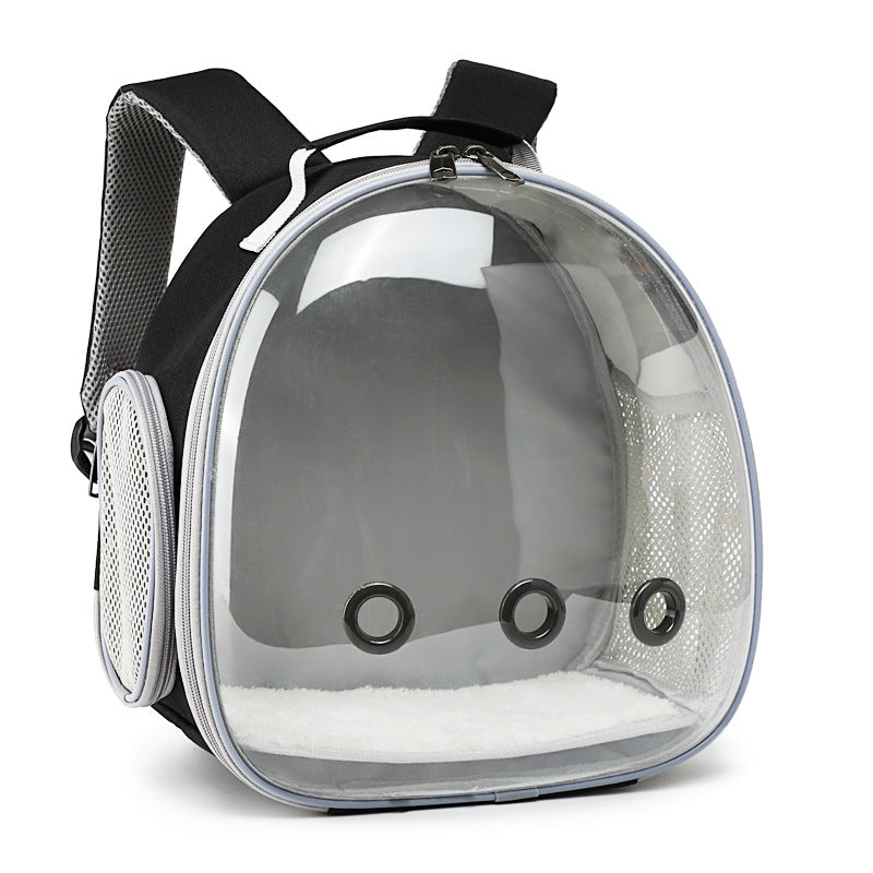 Black clear panel backpack for hamsters and ferrets