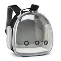 Black clear panel backpack for hamsters and ferrets