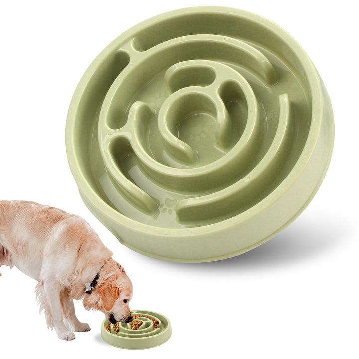 MATERA PET sage green slow feeder puzzle bowl on white, small dog eating from the maze