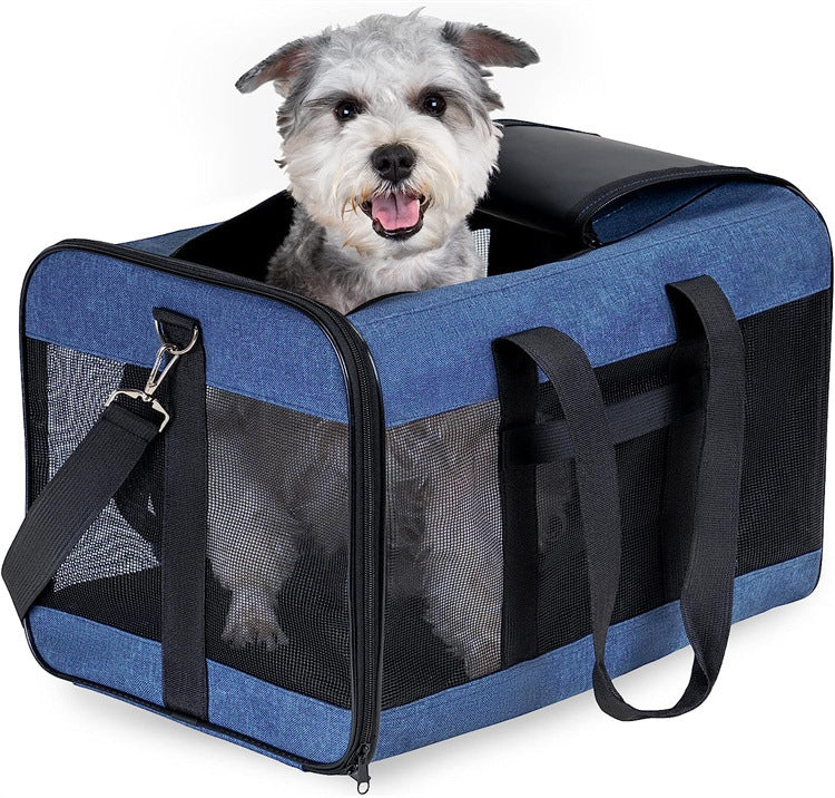 Carrier placed on a car seat for a vet trip