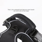 MATERA PET no-pull reflective dog harness – full product overview