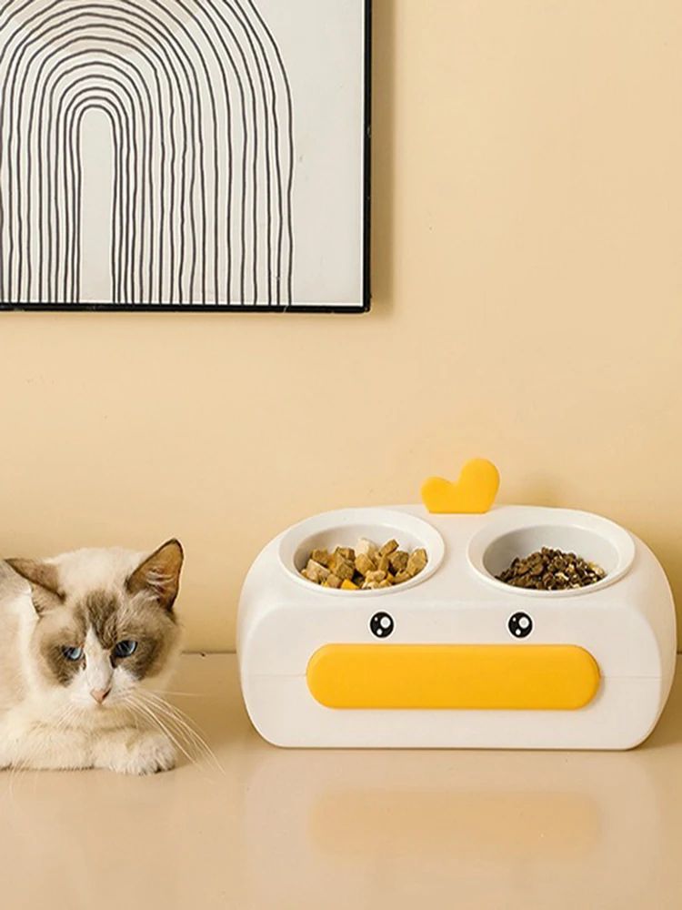 Cat eating from the double feeding bowl