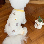 Small white dog in MATERA PET cream knit jumpsuit sweater, side view indoors