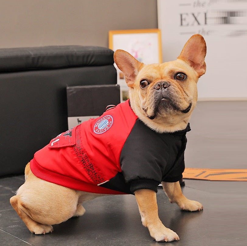 MATERA PET Padded Winter Coat for Small Dogs — photo 1 of 7