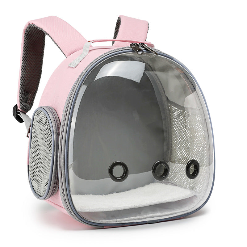Guinea pig looking out of the transparent carrier