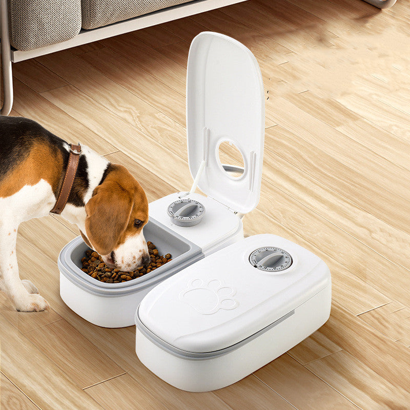 Beagle feeding from the MATERA PET timed meal tray on a wooden floor