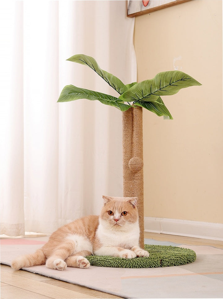 MATERA PET tropical palm cat scratching post with sisal trunk, faux canna leaves and green plush base, cat lounging at its foot