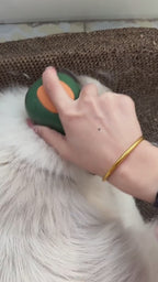 MATERA PET avocado electric steam grooming brush in action for cats and dogs