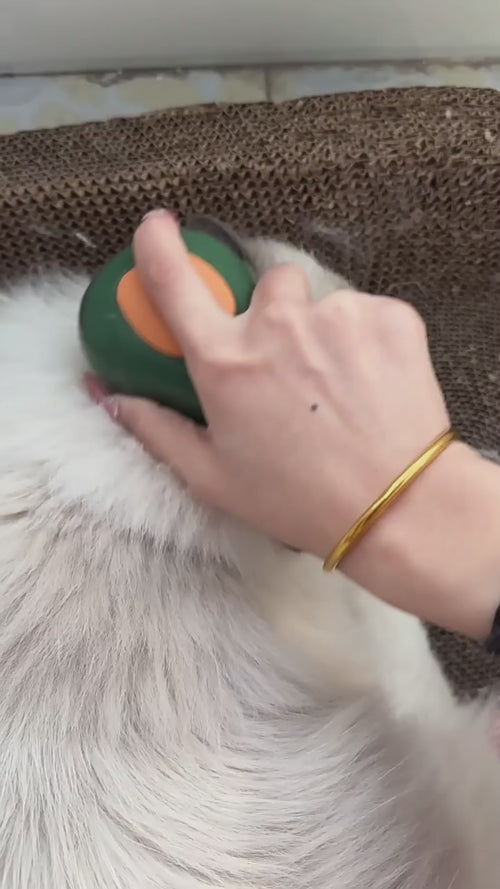 MATERA PET avocado electric steam grooming brush in action for cats and dogs