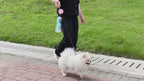 MATERA PET 3-in-1 Portable Pet Water Bottle — dog drinking outdoors