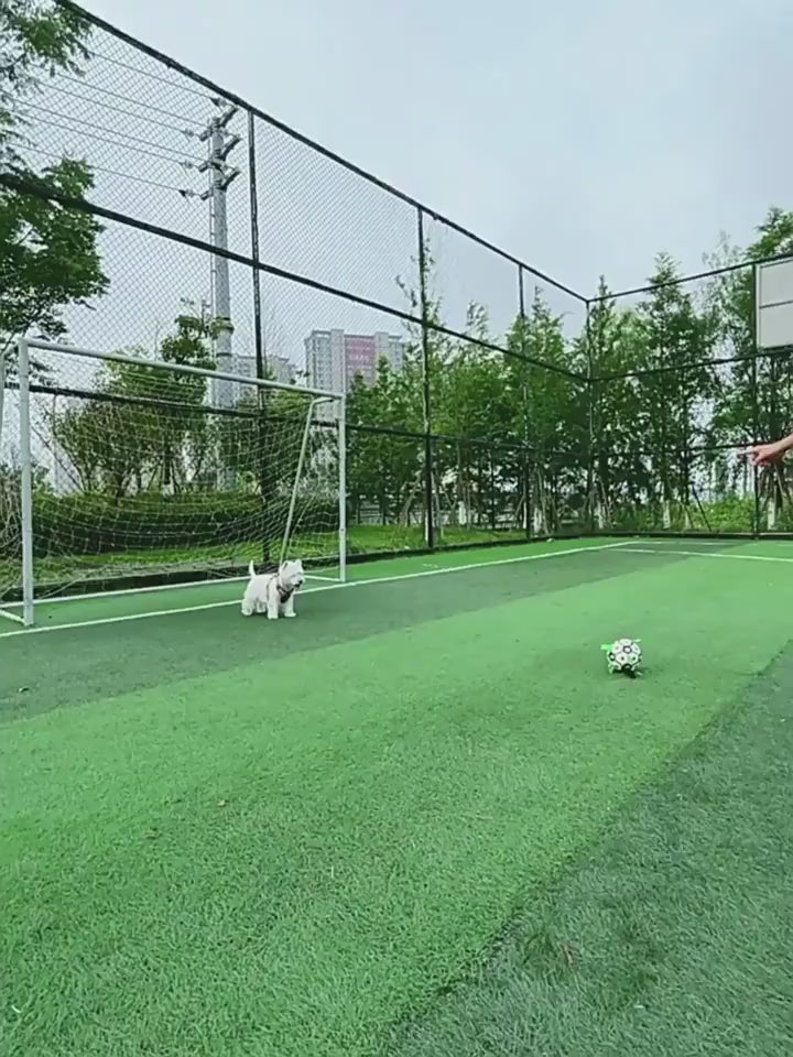 MATERA PET dog football toy and its inflation pump, product video