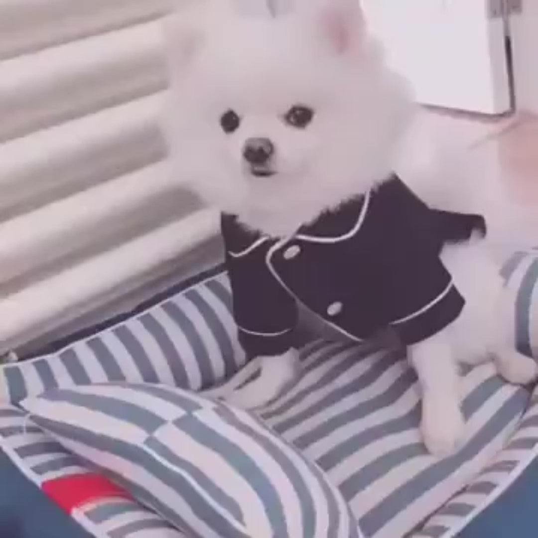 MATERA PET Button-Up Pet Pajama Shirt on a small dog