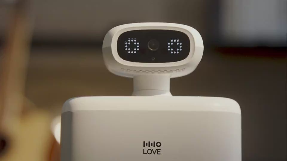 Video of the camera pet feeder dispensing a timed meal