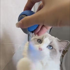 Smart rolling cat toy ball in action
