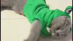 MATERA PET Fleece Hoodie — cat wearing frog hoodie