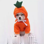 MATERA PET Fleece Hoodie on a small dog