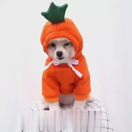 MATERA PET Fleece Hoodie on a small dog