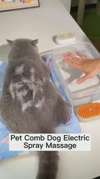 MATERA PET 3-in-1 electric steam grooming brush in action – spray, detangle and massage for cats and dogs
