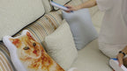 Extra-large self-cleaning pet hair remover brush demo