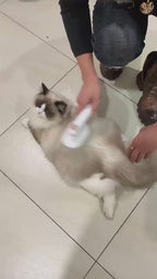 MATERA PET self-cleaning slicker deshedding brush in action for dogs and cats
