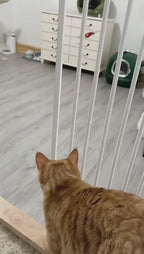 Hanging bird cat toy in action